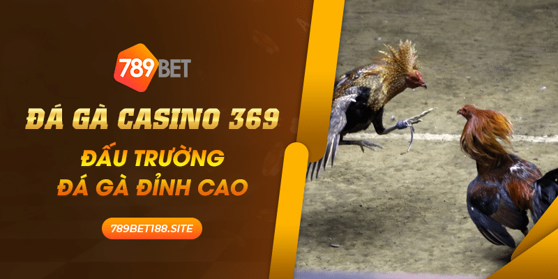 26 Da ga casino 369 dau truong da ga dinh cao