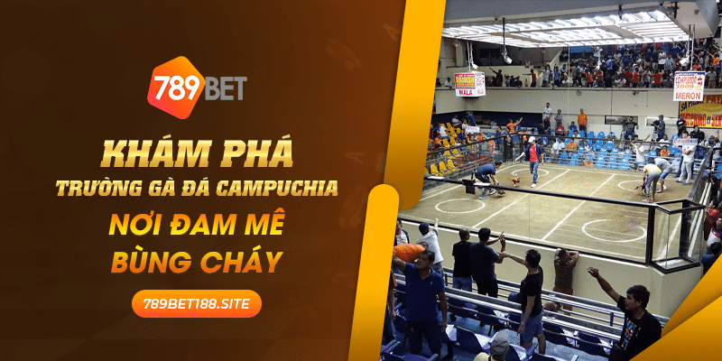 27 Kham pha truong ga da campuchia noi dam me bung chay