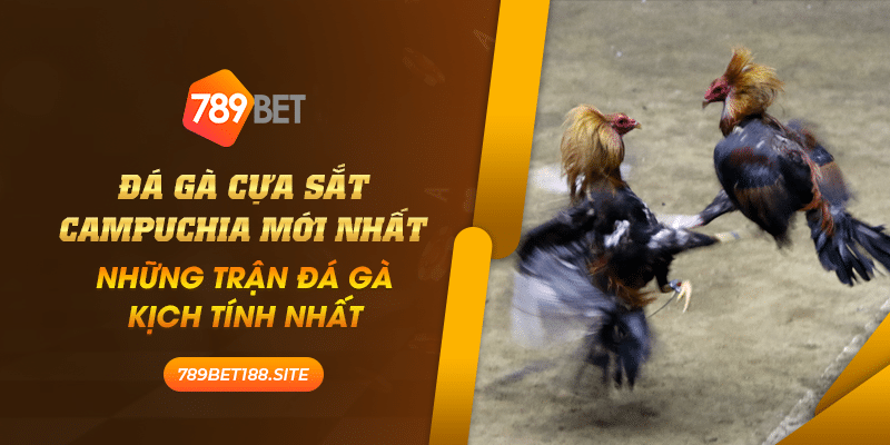 28 Da ga cua sat campuchia moi nhat nhung tran da ga kich tinh nhat