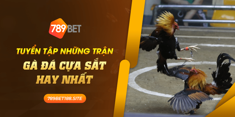 29 Tuyen tap nhung tran ga da cua sat hay nhat