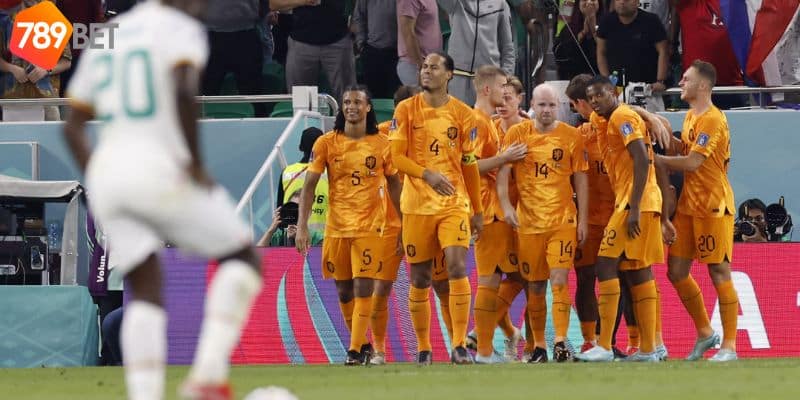 Phân Tích Đội Hình và Phong Độ - Soi kèo Hà Lan vs Senegal