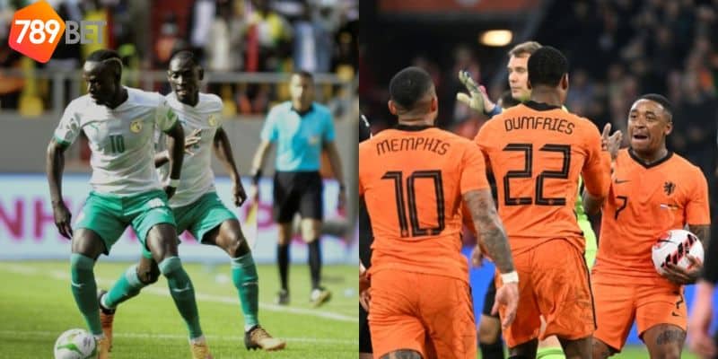 Phân Tích Đội Hình và Phong Độ - Soi kèo Hà Lan vs Senegal