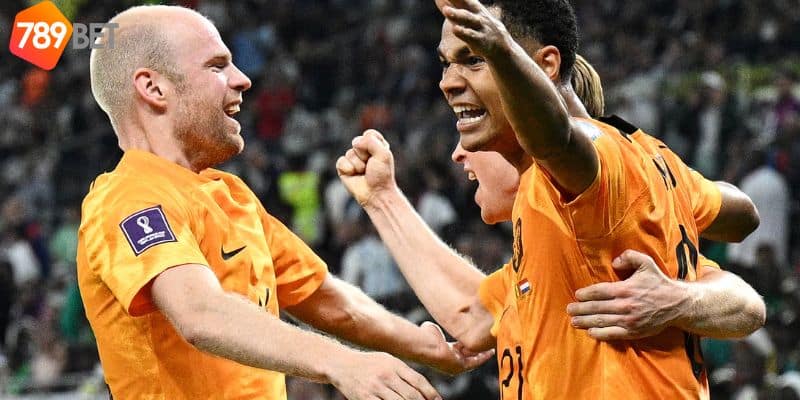 Phân Tích Đội Hình và Phong Độ - Soi kèo Hà Lan vs Senegal