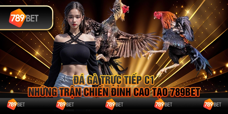 Đá Gà Trực Tiếp C1 Những Trận Chiến Đỉnh Cao Tại 789bet