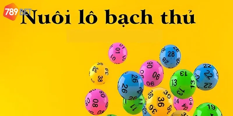 Nuôi lô bạch thủ và lợi ích lớn trong cá cược xổ số