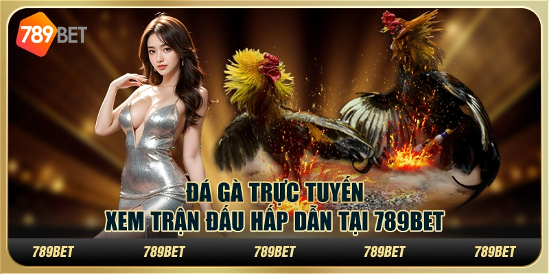 Đá Gà Trực Tuyến – Xem Trận Đấu Hấp Dẫn Tại 789bet