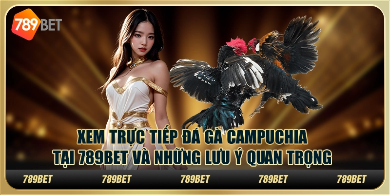 Xem Trực Tiếp Đá Gà Campuchia 789bet Và Lưu Ý Quan Trọng