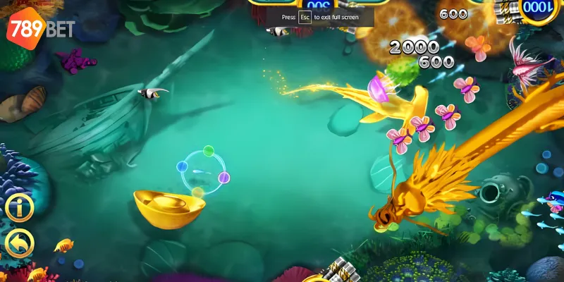 Tham gia với kết nối ổn định giúp bạn dễ dàng thắng hơn