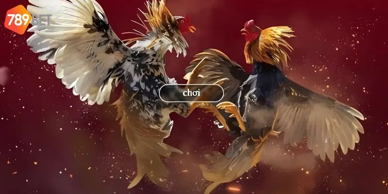 Dễ dàng tham gia tại nền tảng giải trí trực tuyến 789bet