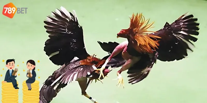 Lợi ích của việc tham gia giải trí trực tuyến đá gà đòn tại 789bet