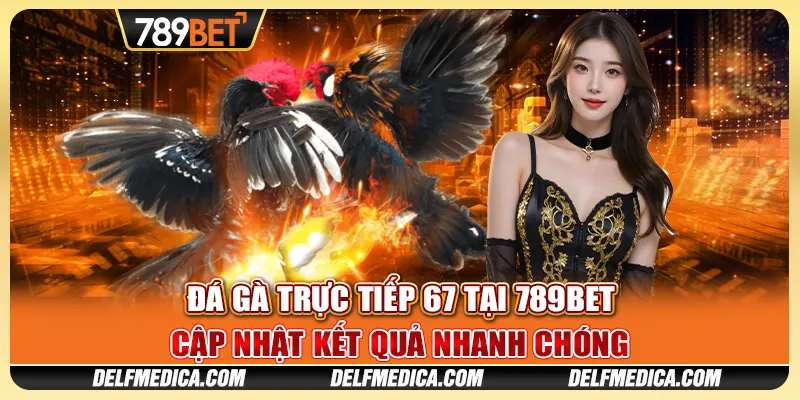 Cược Đá Gà Trực Tiếp 67 Tại 789bet - Cập Nhật Nhanh Chóng 1 Cược Đá Gà Trực Tiếp 67 Tại 789bet - Cập Nhật Nhanh Chóng