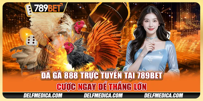 Đá Gà 888 Trực Tuyến Tại 789bet - Cược Ngay Để Thắng Lớn 1 Đá Gà 888 Trực Tuyến Tại 789bet - Cược Ngay Để Thắng Lớn