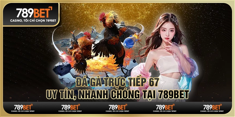 Đá Gà Trực Tiếp 67 Uy Tín, Nhanh Chóng Tại Nhà Cái 789bet 1 Đá Gà Trực Tiếp 67 Uy Tín, Nhanh Chóng Tại Nhà Cái 789bet