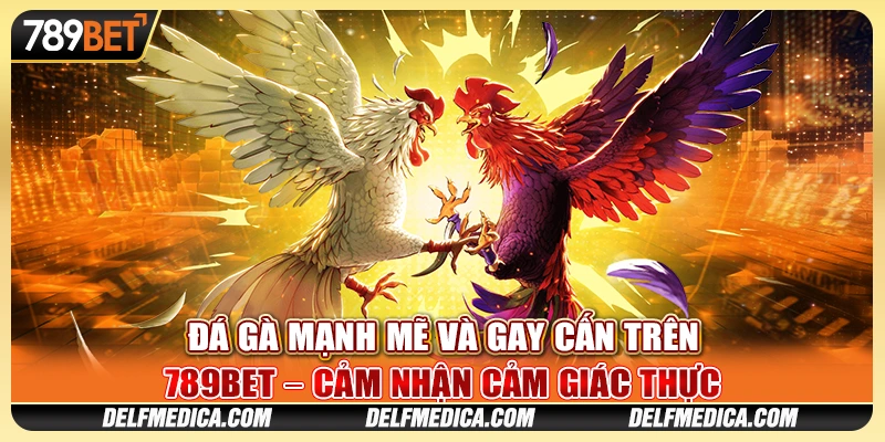 Đá Gà Mạnh Mẽ Và Gay Cấn Trên 789bet Cảm Nhận Cảm Giác Thực 1 Đá Gà Mạnh Mẽ Và Gay Cấn Trên 789bet Cảm Nhận Cảm Giác Thực