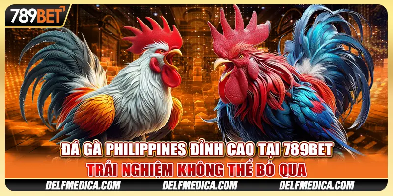 Đá Gà Philippines Đỉnh Cao Tại 789bet – Không Thể Bỏ Qua