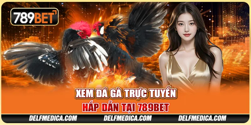 Xem Đá Gà Trực Tuyến Hấp Dẫn Tại Nhà Cái Trực Tuyến 789bet 1 Xem Đá Gà Trực Tuyến Hấp Dẫn Tại Nhà Cái Trực Tuyến 789bet