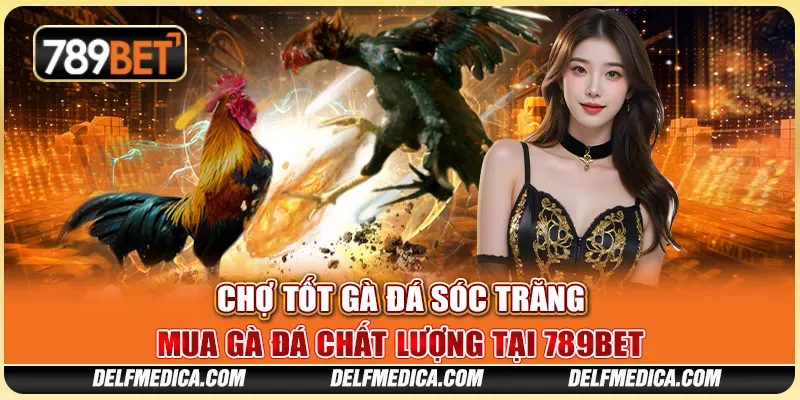 Chợ Tốt Gà Đá Sóc Trăng: Mua Gà Đá Chất Lượng Tại 789bet