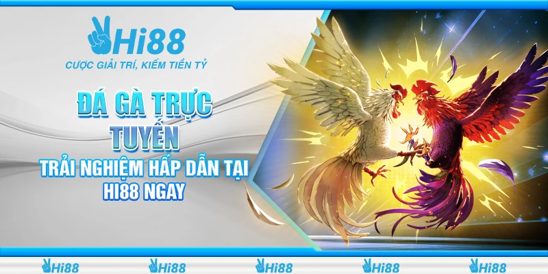 Đá Gà Trực Tuyến - Trải Nghiệm Hấp Dẫn Tại Hi88 Ngay