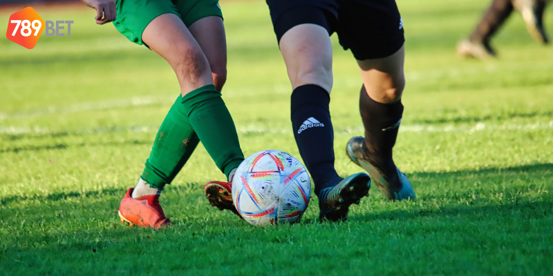 Quản lý ngân sách và sử dụng thống kê