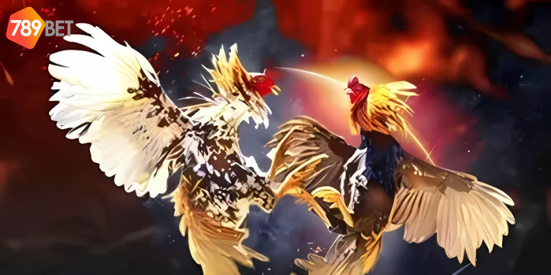 Đá Gà Trực Tiếp 67 Uy Tín, Nhanh Chóng Tại Nhà Cái 789bet 3 Tốc độ đường truyền và thanh toán nhanh chóng