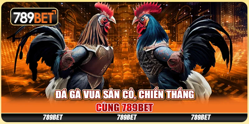 Đá Gà Vua Sân Cỏ, Chiến Thắng Cùng Nền Tảng Giải Trí 789bet