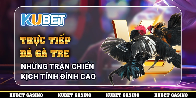 Những chiến thuật đỉnh cao trong đá gà