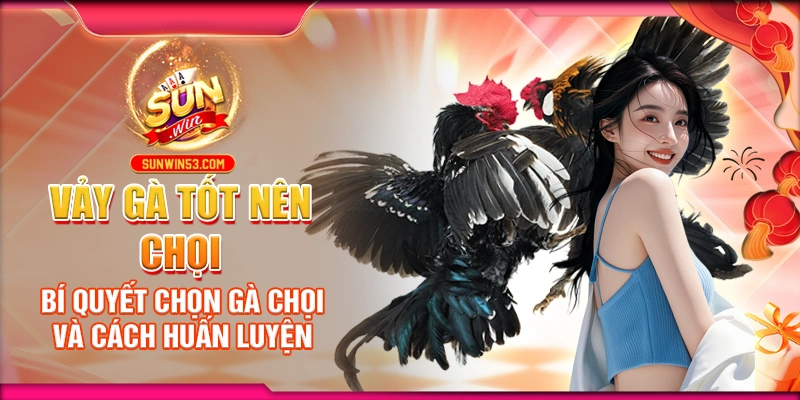 vay-ga-tot-nen-choi-bi-quyet-chon-ga-choi-va-cach-huan-luyen