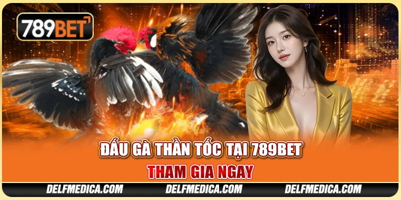 Đấu Gà Thần Tốc Tại 789bet: Tham Gia Ngay Cùng Nhà Cái