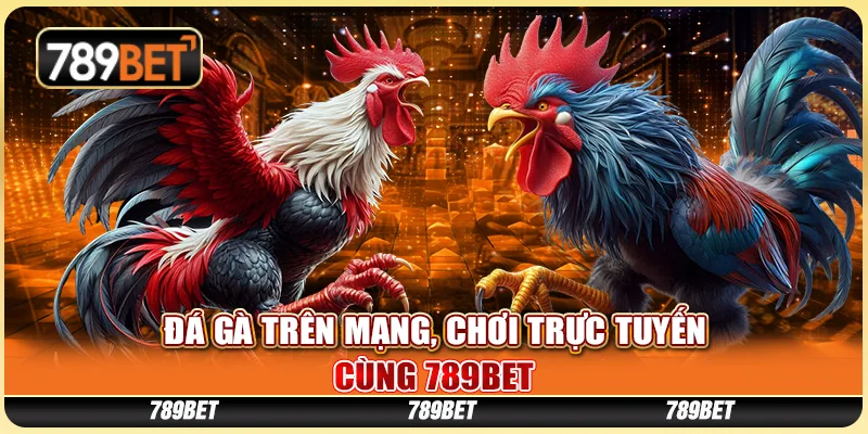 Cá Cược Đá Gà Trên Mạng, Chơi Trực Tuyến Cùng 789bet