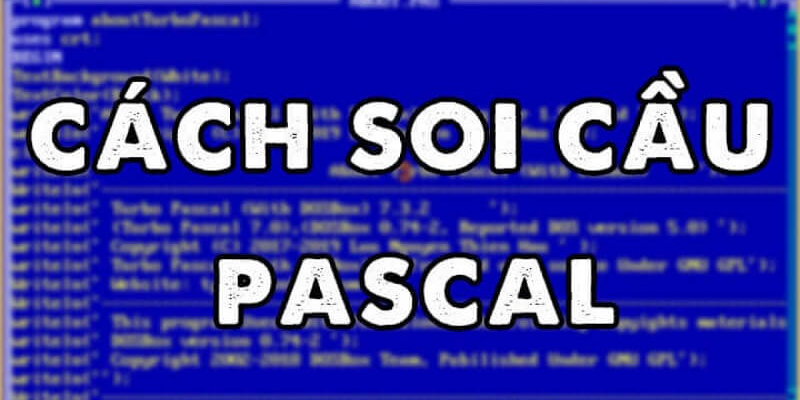 soi-cau-pascal-giup-giam-thieu-sai-sot-va-su-ngau-nhien