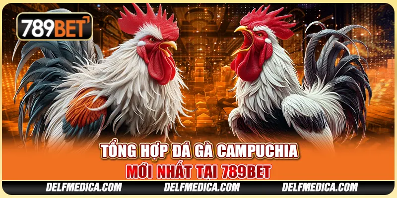 Tổng Hợp Đá Gà Campuchia Mới Nhất Tại Nền Tảng 789bet