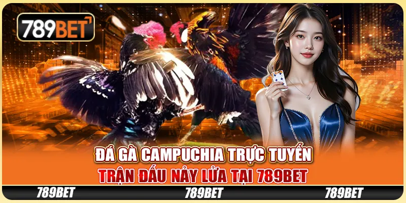 Đá Gà Campuchia Trực Tuyến - Trận Đấu Nảy Lửa Tại 789bet