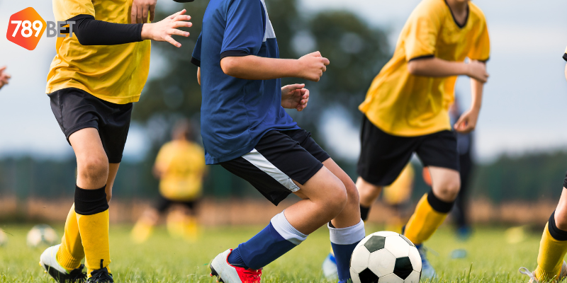 Tin Tức PSG Ligue 1 Mới Nhất Cập Nhật Trên Nhà Cái 789bet 2 Cập nhật tin tức PSG Ligue 1 cùng nhà cái