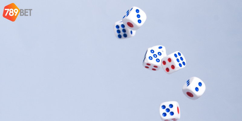 Phân tích xác suất và đặt cược thông minh