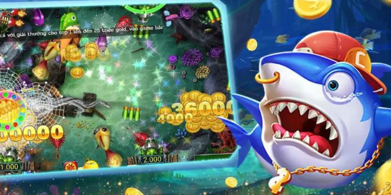 Các bước hướng dẫn cụ thể để săn cá