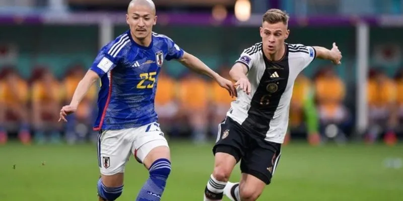 Những lý do nên soi kèo cần nắm