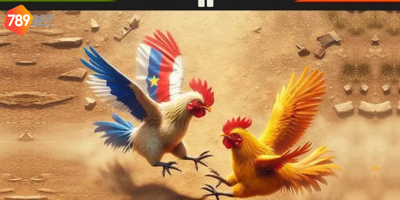 Cá Cược Đá Gà Trên Mạng, Chơi Trực Tuyến Cùng 789bet 3 Tham gia đơn giản và thắng lớn mỗi ngày