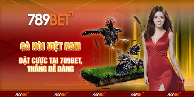 Gà Nòi Việt Nam: Đặt Cược Tại 789bet, Thắng Dễ Dàng