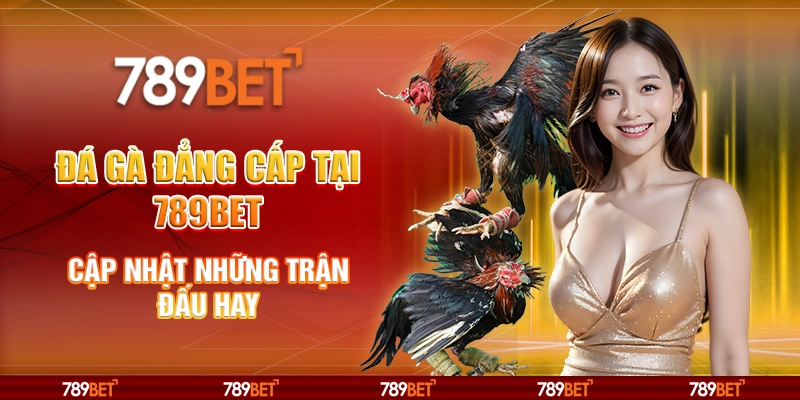 Đá Gà Đẳng Cấp Tại 789bet – Cập Nhật Những Trận Đấu Hay