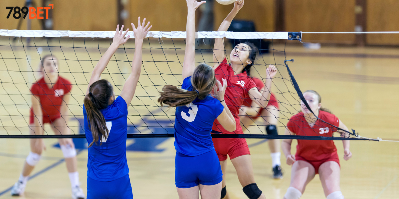 Bóng Chuyền Nữ Cực Hấp Dẫn Tại Nhà Cái 789bet – Xem Ngay 4 Phân tích trận đấu và chiến lược cược