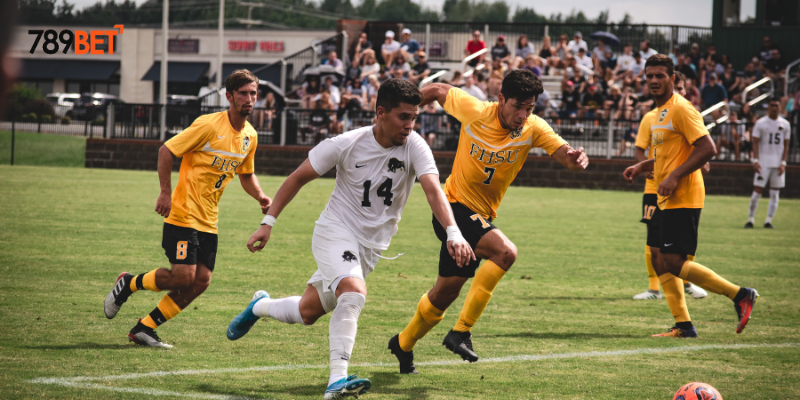 Cách thức đặt cược đơn giản