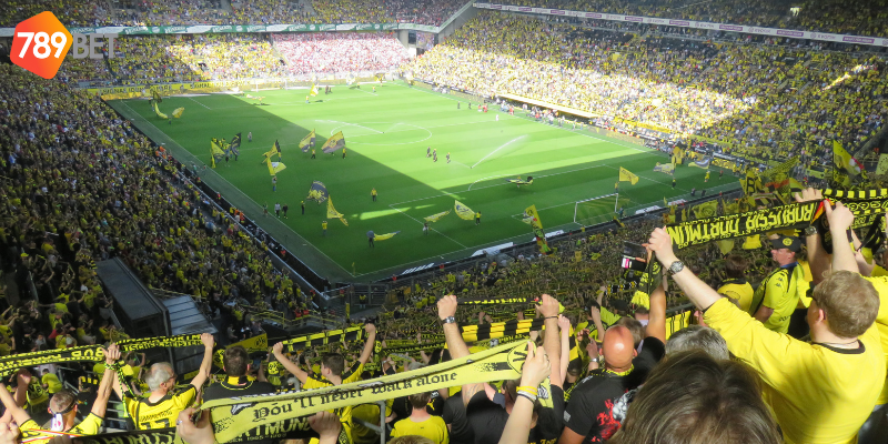 Cập nhật tin bóng đá châu Phi cùng nhà cái