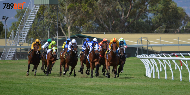 Đua Ngựa Online Tại 789bet – Trải Nghiệm Thú Vị Cùng Nhà Cái 2 Khám phá sức hấp dẫn của đua ngựa tại nhà cái