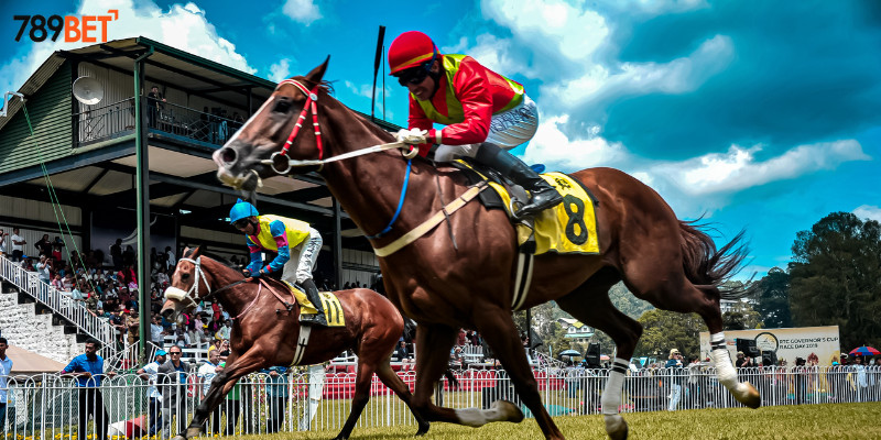 Đua Ngựa Online Tại 789bet – Trải Nghiệm Thú Vị Cùng Nhà Cái 3 Mẹo lựa chọn chiến binh giúp bạn thắng lớn