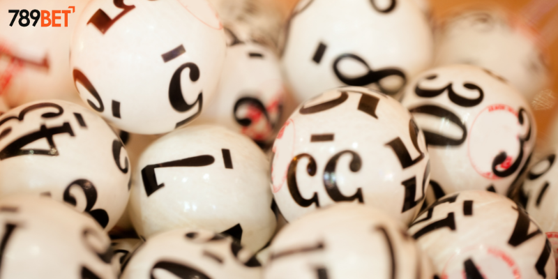 Khám phá lô gan miền Bắc