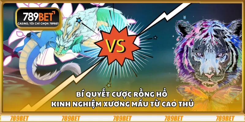 Bí quyết cược Rồng Hổ – Kinh nghiệm xương máu từ cao thủ