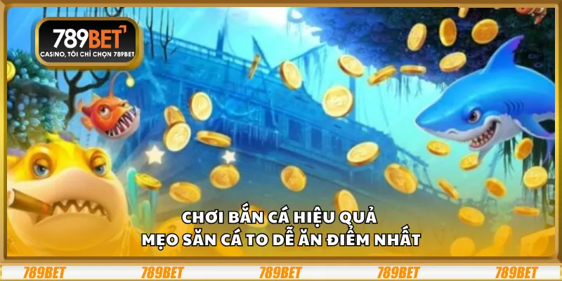 Chơi bắn cá hiệu quả – Mẹo săn cá to dễ ăn điểm nhất