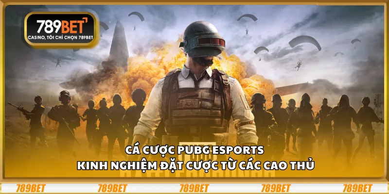 Cá cược PUBG eSports – Kinh nghiệm đặt cược từ các cao thủ